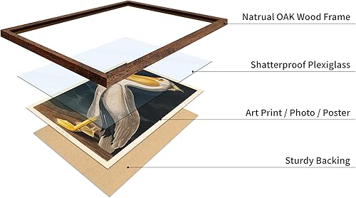 Miniatura 28 de Poster Master Póster vintage de flamenco americano, estampado retro de flamenco rosa, arte de pájaro, regalo para él, ella, amante de los animales,