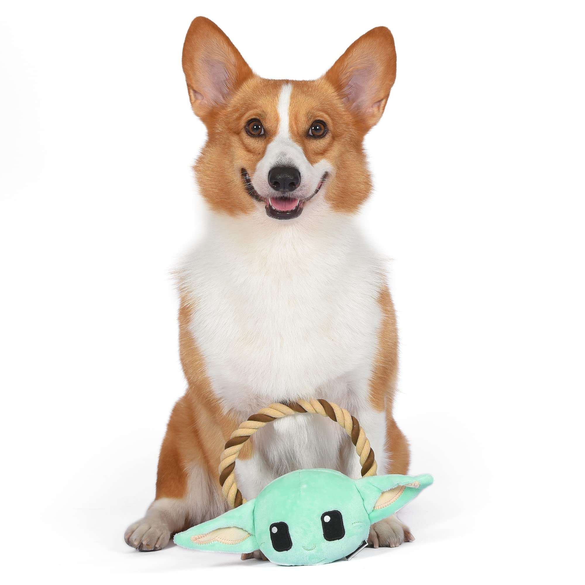 Star Wars For Pets GROGU Seilring mit Pl schkopf Hundespielzeug | GROGU Kauspielzeug f r Hunde | The Mandalorian Dog Toys, Dog Tug Toys, Tug of War Dog Chew Toys, 7 Zoll (FF19276)