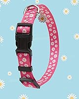 Vista 2 de Lindo collar de perro para perros pequeños, collar de perro pequeño para hembras y machos, collares de perros niños y niñas, collar de perro