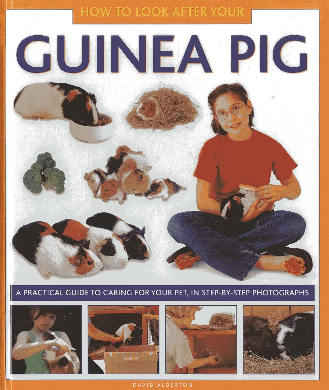 How to Look After Your Guinea Pig: A Practical Guide to Caring for Your Pet, in Step-by-step Photographs