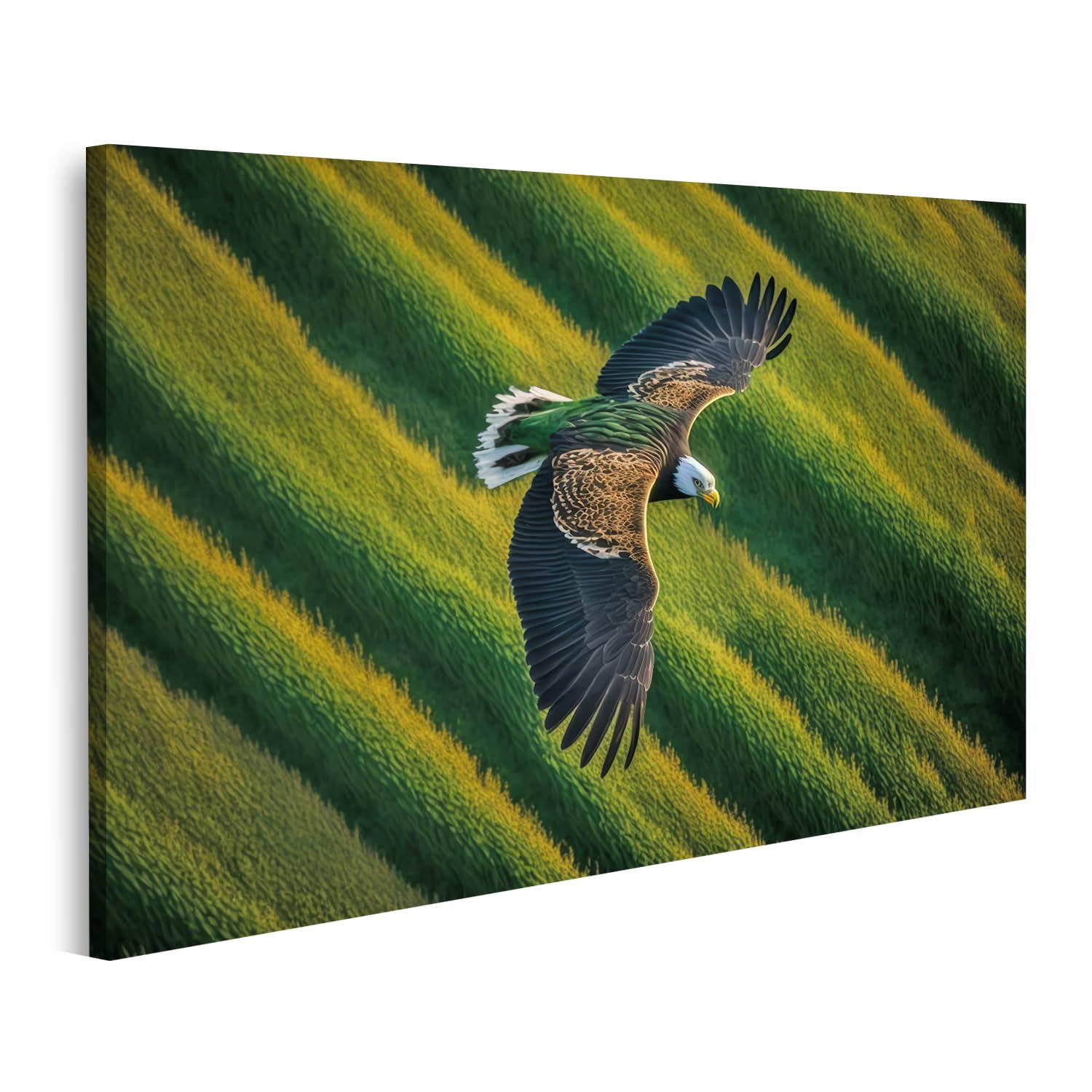 Quadro Su Tela Islandburner – Aquila Calva In Volo, Stampa Moderna 100x57 Cm, Pronto Da Appendere, Made In Germany