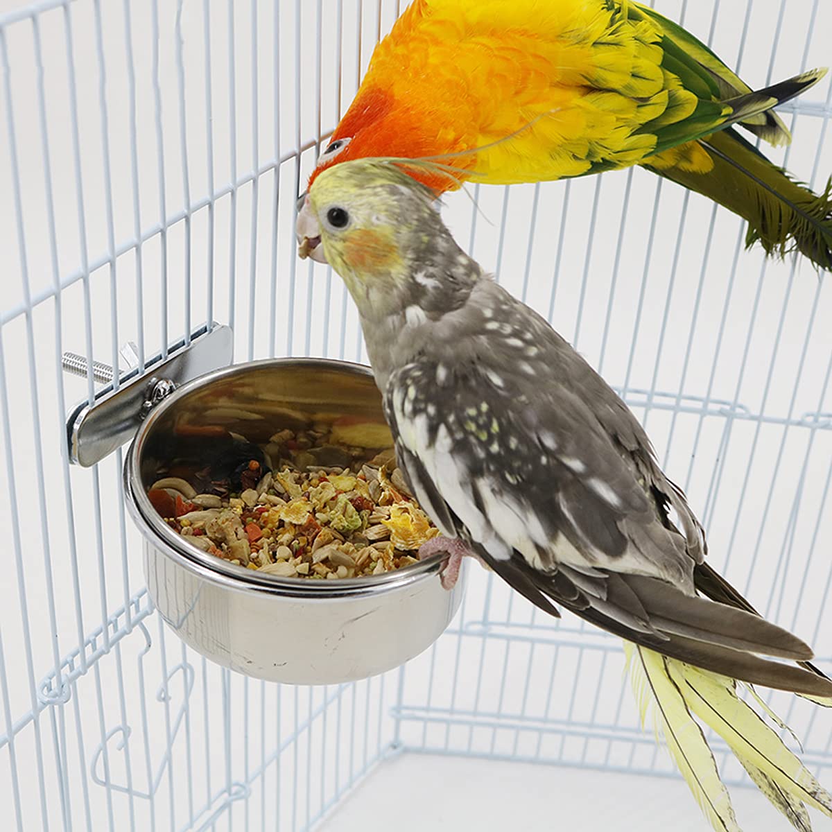 4 Stück Edelstahl Vogelnapf Futternapf Vogel Fütterung Näpfe Wasser Futternapf Papageien Fütterungsbecher Wasser Futterschale für Vogel papageien
