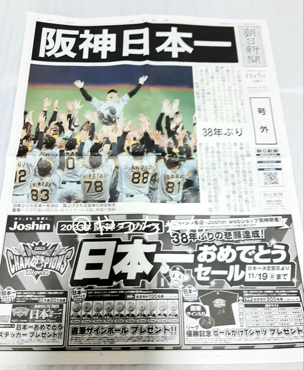 阪神日本一 a_16997389.jpg