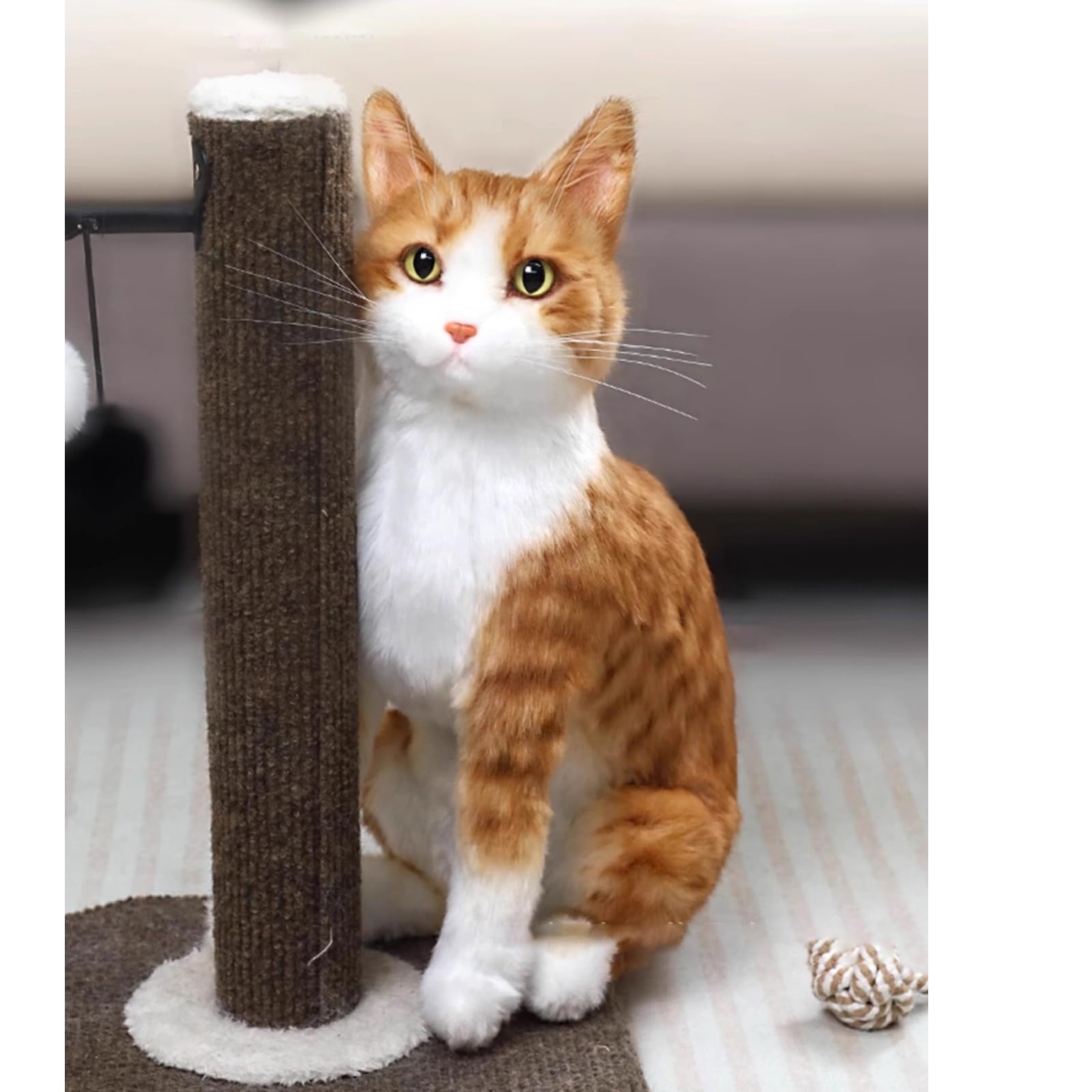 Orange Katze Kuscheltier, H38*B22cm Weich Klein Plüschtier, Katzen Stofftier Plüsch Plüschtiere, Geschenk für Jungen Mädchen (Vermögensgewinnung)