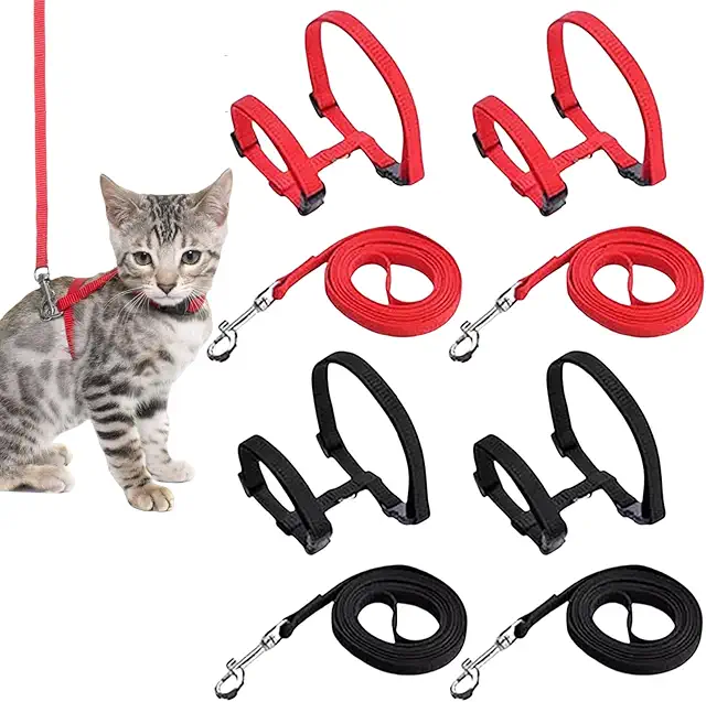 Pettorina Antifuga Gatto 4 Pezzi con Guinzaglio - Imbracatura Regolabile