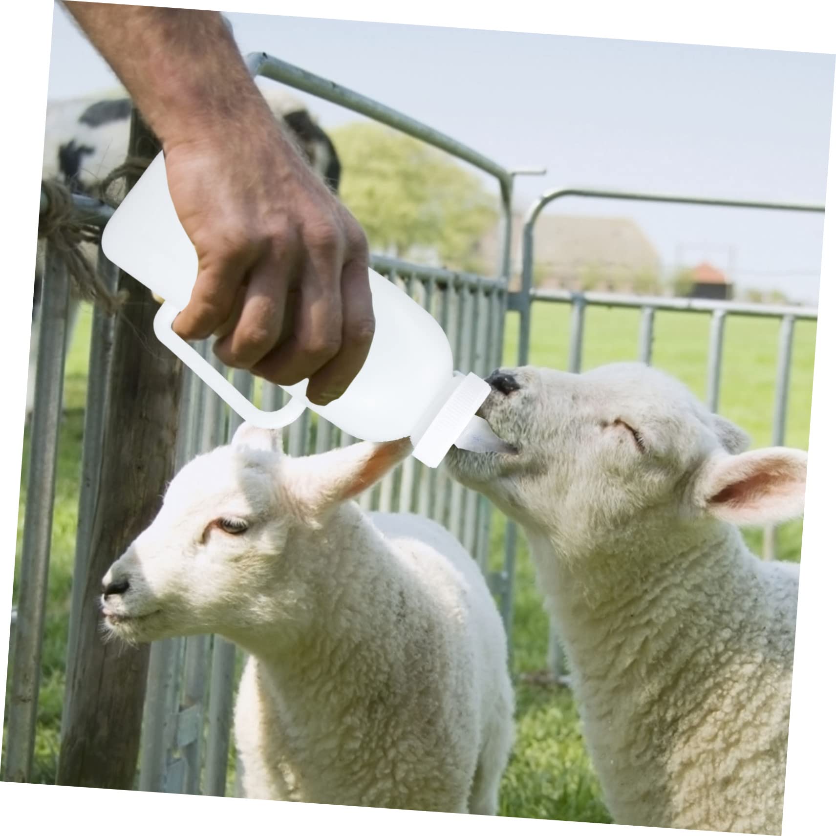 BESPORTBLE 4 Piezas biberón de leche para terneros leche de ternera alimentación de terneros biberón para terneros mascota biberones botella bebe práctico contenedor de leche para terneros