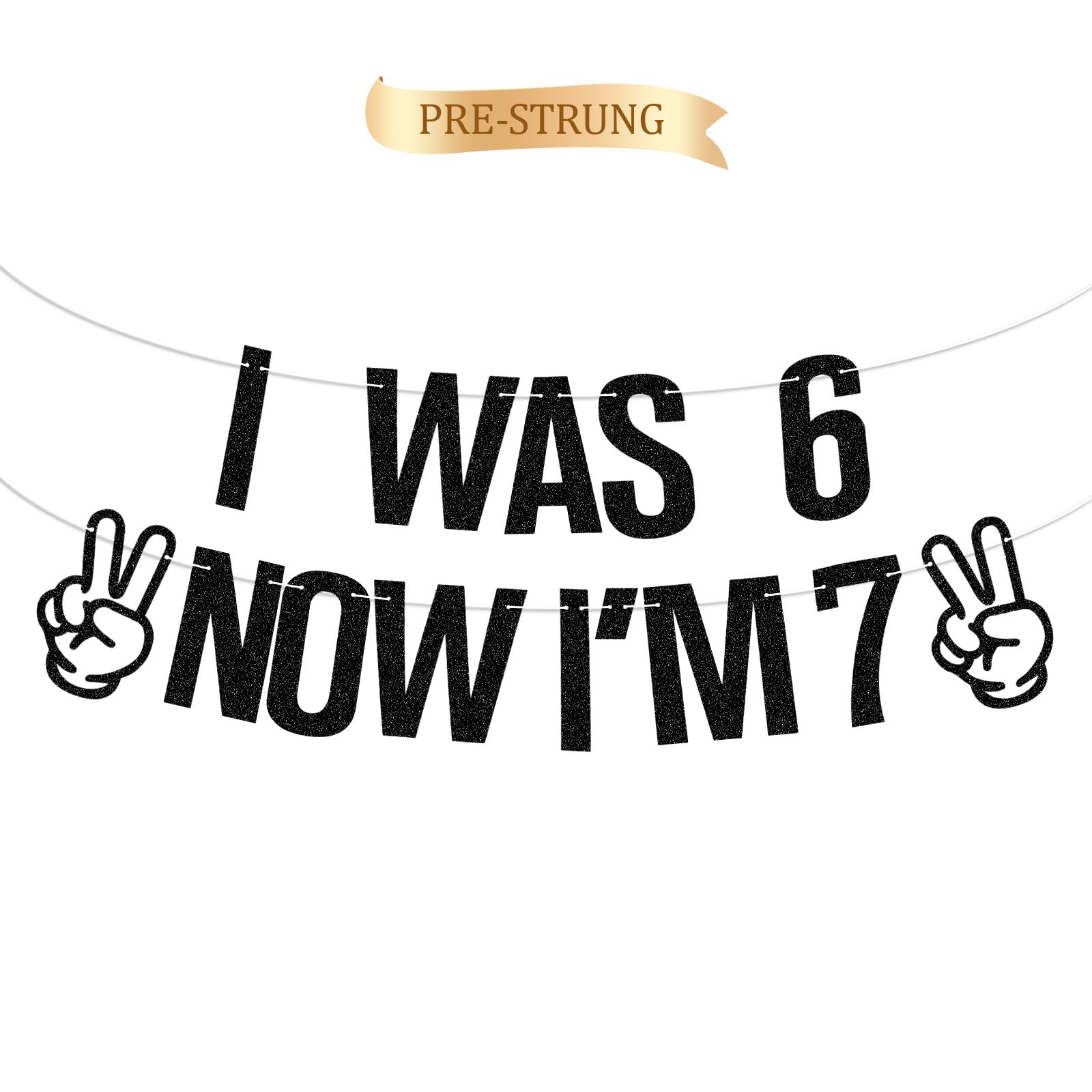 BLMHTWO Pre-Strung I Was 6 Now I’m 7 Birthday Banner, Black Glitter Happy 6 7 Years Old Birthday Decorations Banner Funny Cool Party Supplies for Boys and Girls' 7th Birthdays