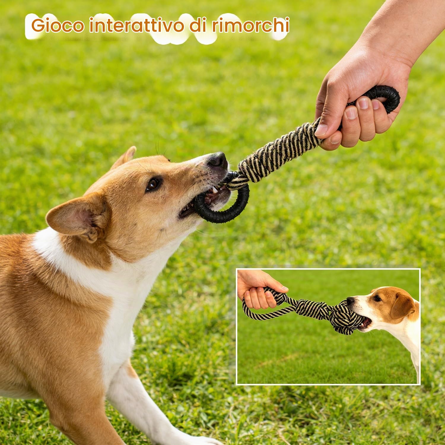 Waldseemüller Giocattoli per cani - Set di 9 giocattoli per cani di piccola e media taglia