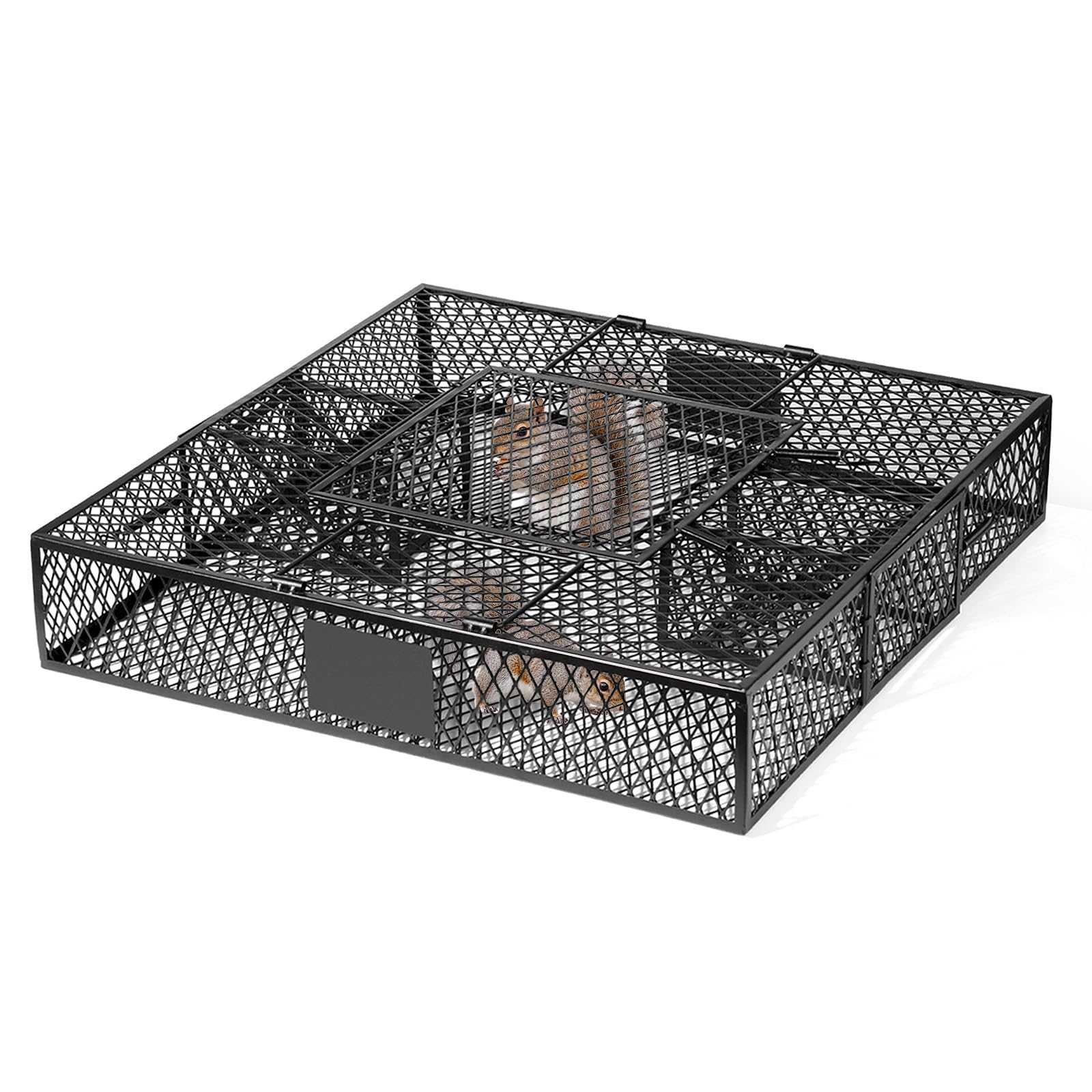 Photo 1 of Meldoz Squirrel and Rat Trap