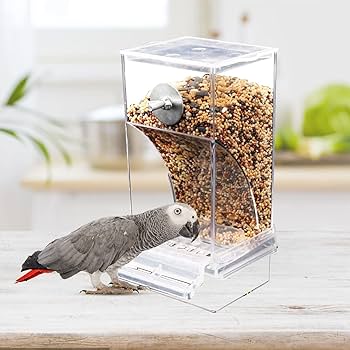 鳥用自動給餌器（小粒用） 楽天市場】【自動給水器セット】バードフィーダー 鳥 餌入れ 水入れ