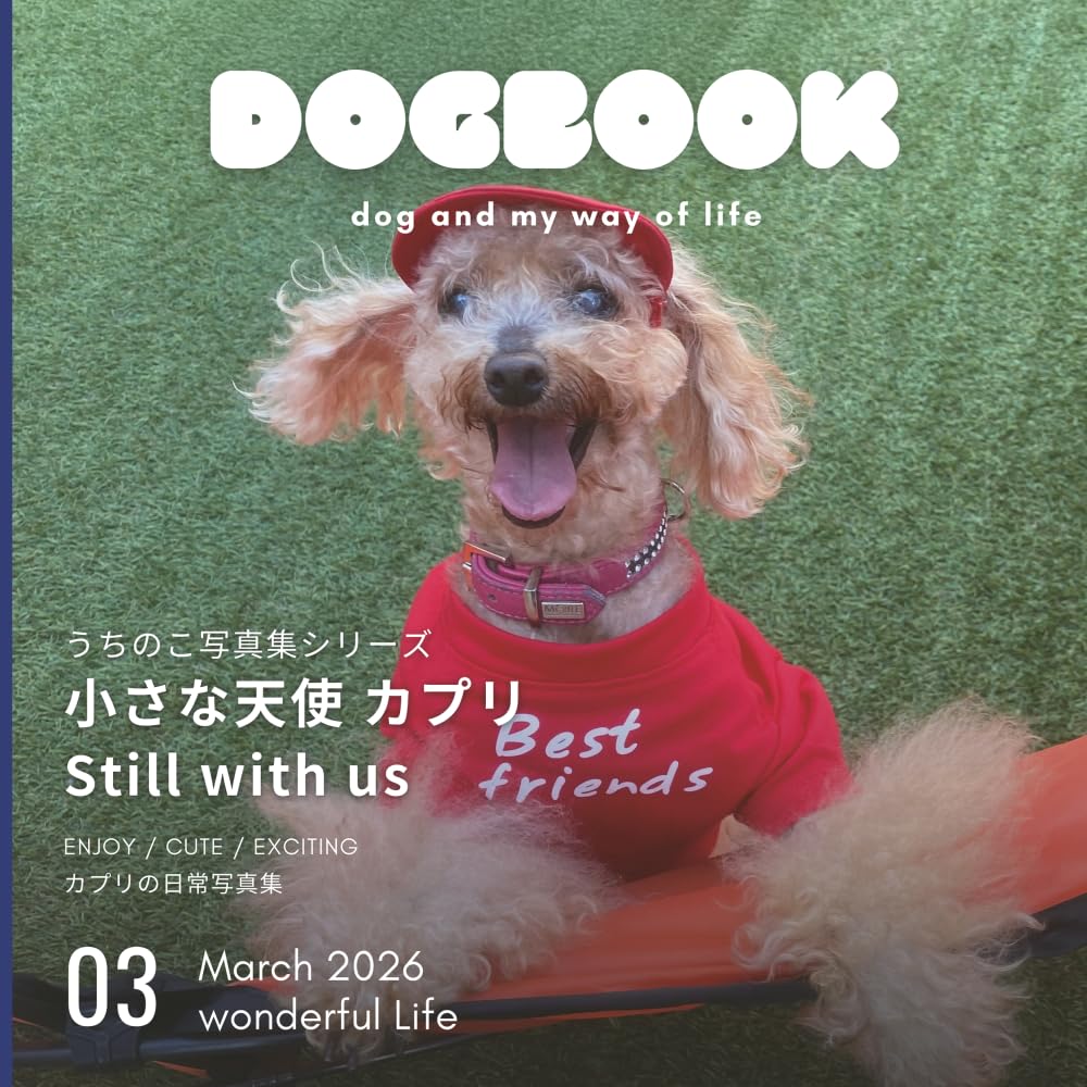 小さな天使 カプリ Still with us: うちのこ写真集シリーズ
