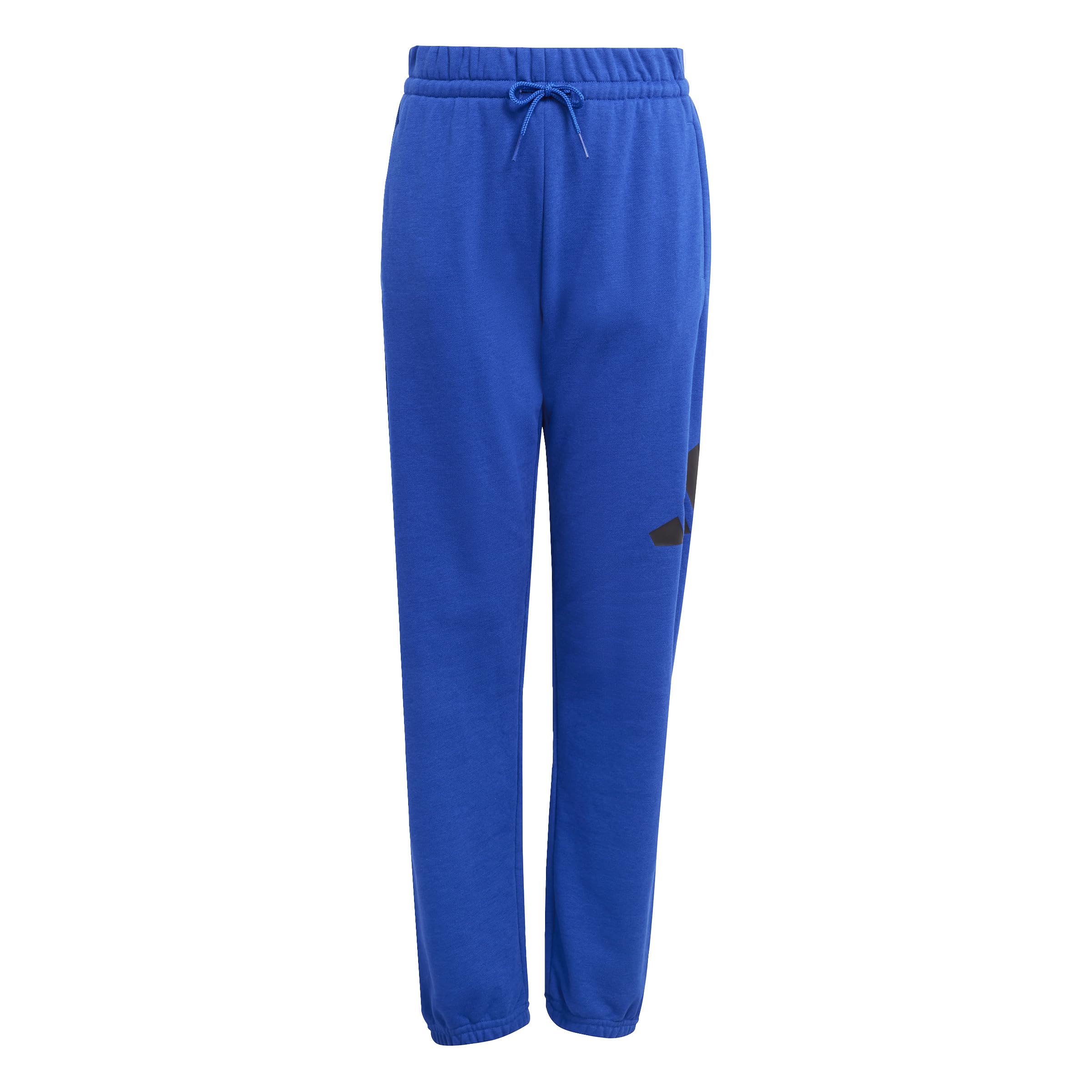 adidas Essentials Big Logo Pants - spodnie dresowe Uniseks - dzieci