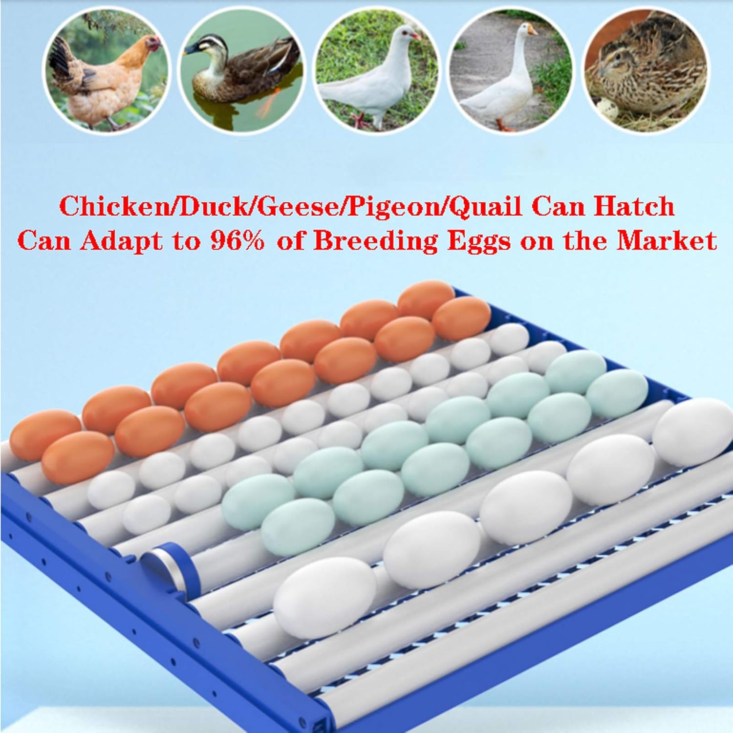 Pull-Out Automatic Egg Incubator with Temperature Control Fully Poultry Incubator Hatcher Machine with Egg Turning for Eggs Quail Ducks Chickens Goose Birds