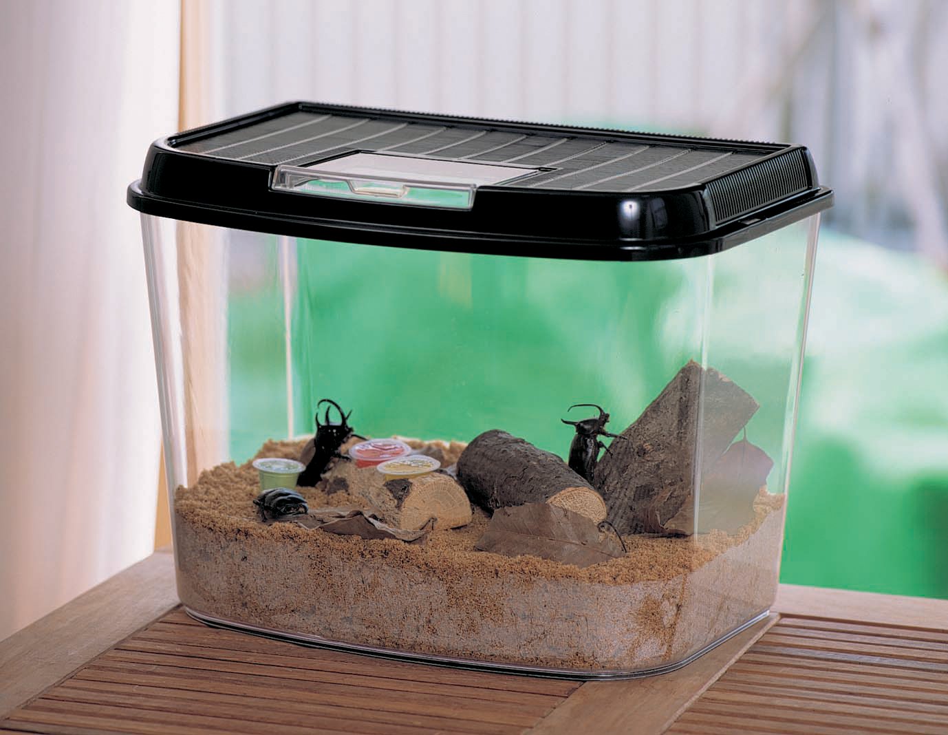 温室・飼育ケース kkk.iii Amazon | アイリスオーヤマ 飼育ランドジャンボ CY-3L ブラック