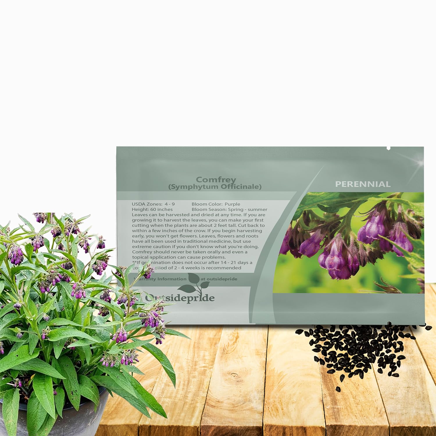 Outsidepride Comfrey Seeds - 100 Pcs. Perennial, Drought-Tolerant & Low Maintenance, Herb Seeds for Planting Tall, Vibrant Bell-Shaped Purple Blooms for Versatile Uses & Pollinator Gardens