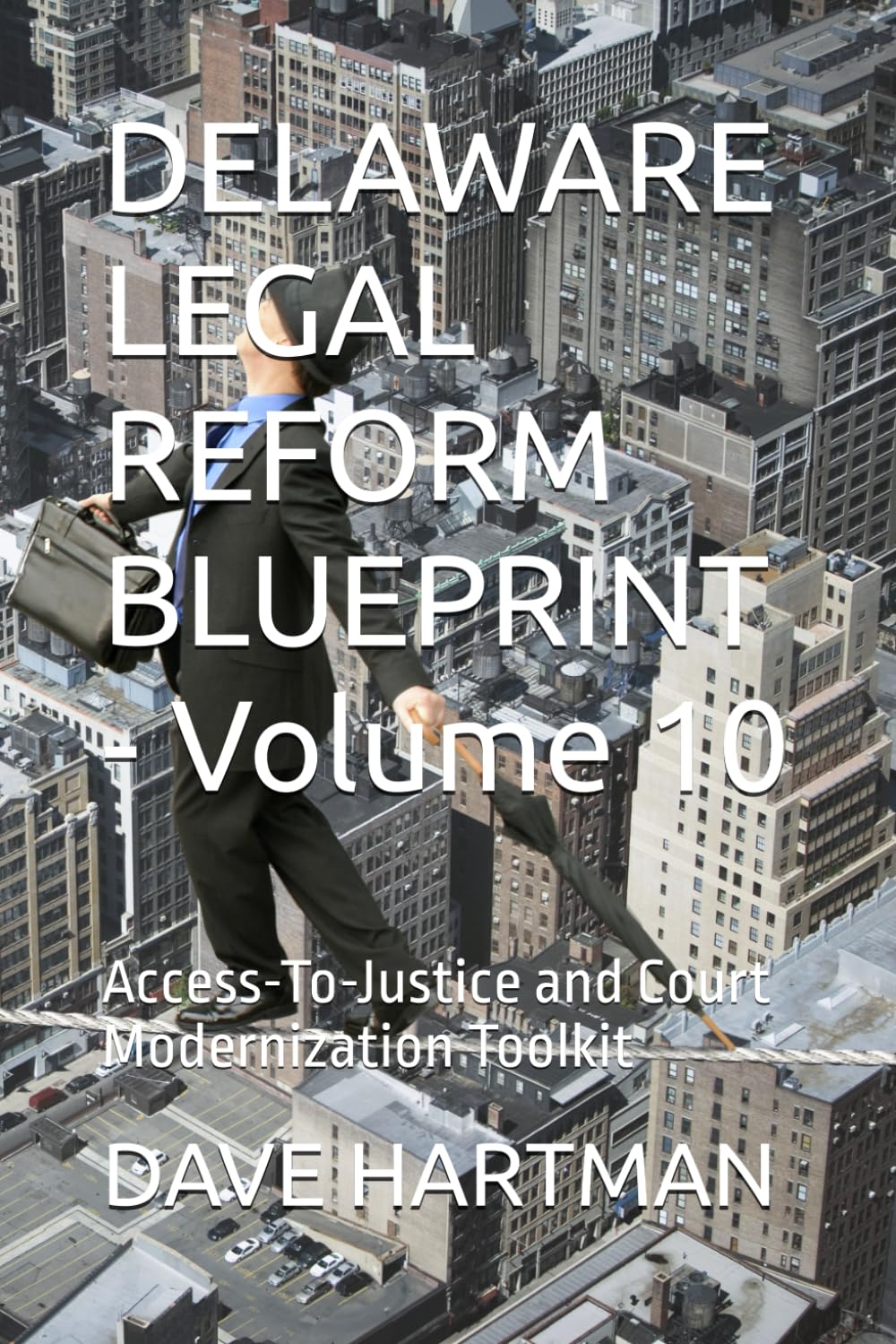 DELAWARE LEGAL REFORM BLUEPRINT - Volume 10: Access-To-Justice and Court Modernization Toolkit: 12 (Delaware Legal Reform Series)
