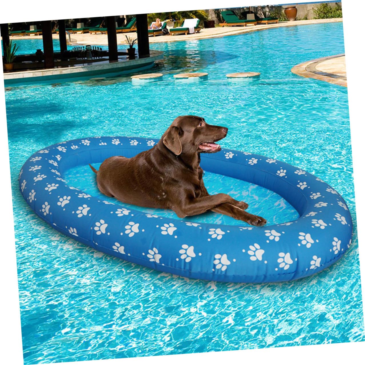 TOYANDONA Piscina Gonfiabile per Animali Domestici Pieghevole Tappetino Galleggiante Blu Piscina Portatile per Cani e Gatti Adatta per Uso Esterno e Laghetti