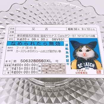 なめ猫商店専用　ナンジャモのカイデン　121パック Amazon.co.jp: なめ猫カード なめんなよ なめ猫免許証 : おもちゃ