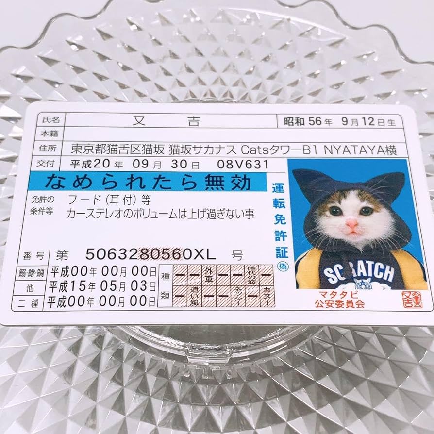 なめ猫　免許証　25周年記念　限定 なめ猫 25周年記念 ゴールド 免許証 レア 限定 なめねこ なめん
