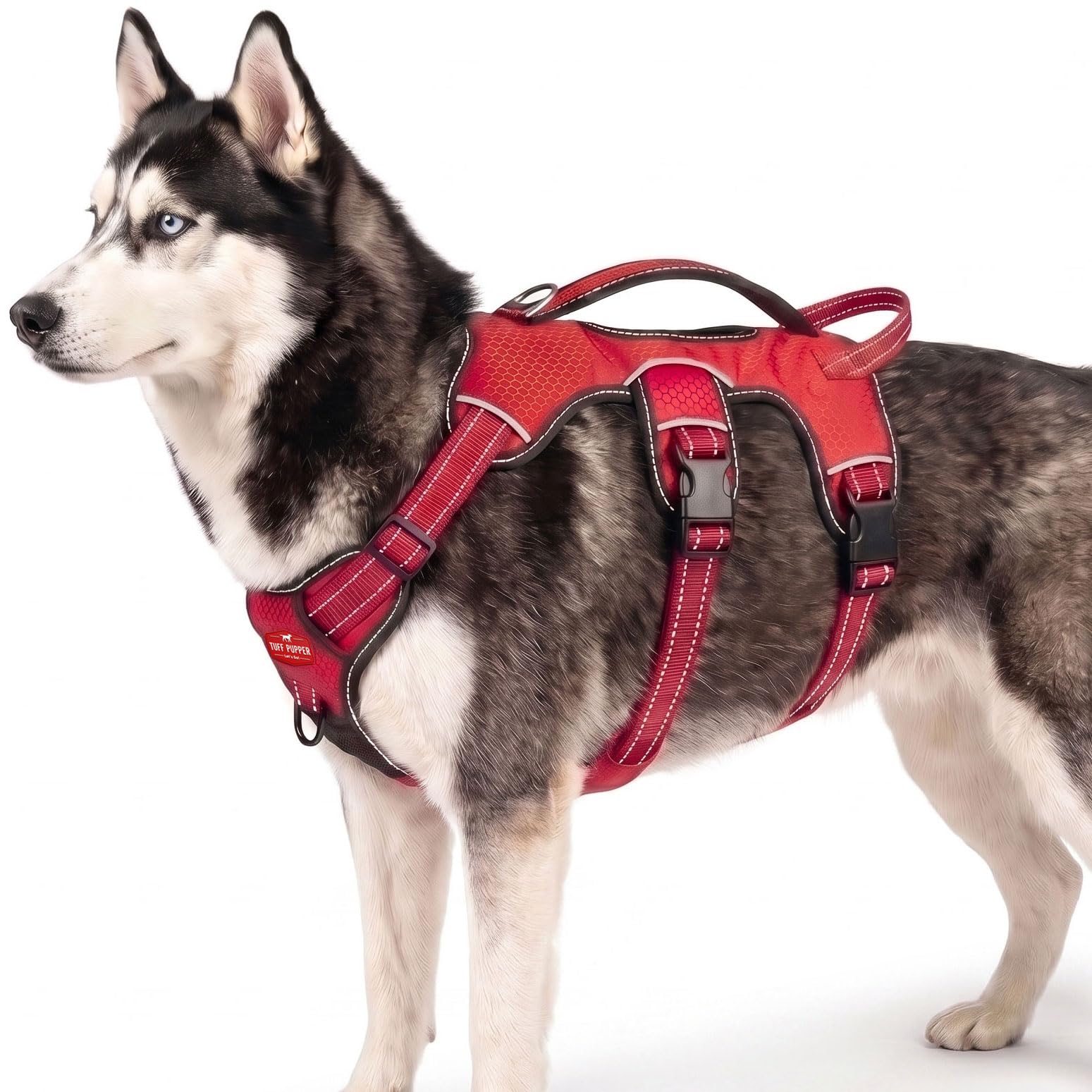 Escape Proof No Escape Dog Harness | 5 Point Adjustable Fit Harness for Dogs | Padded Dog…