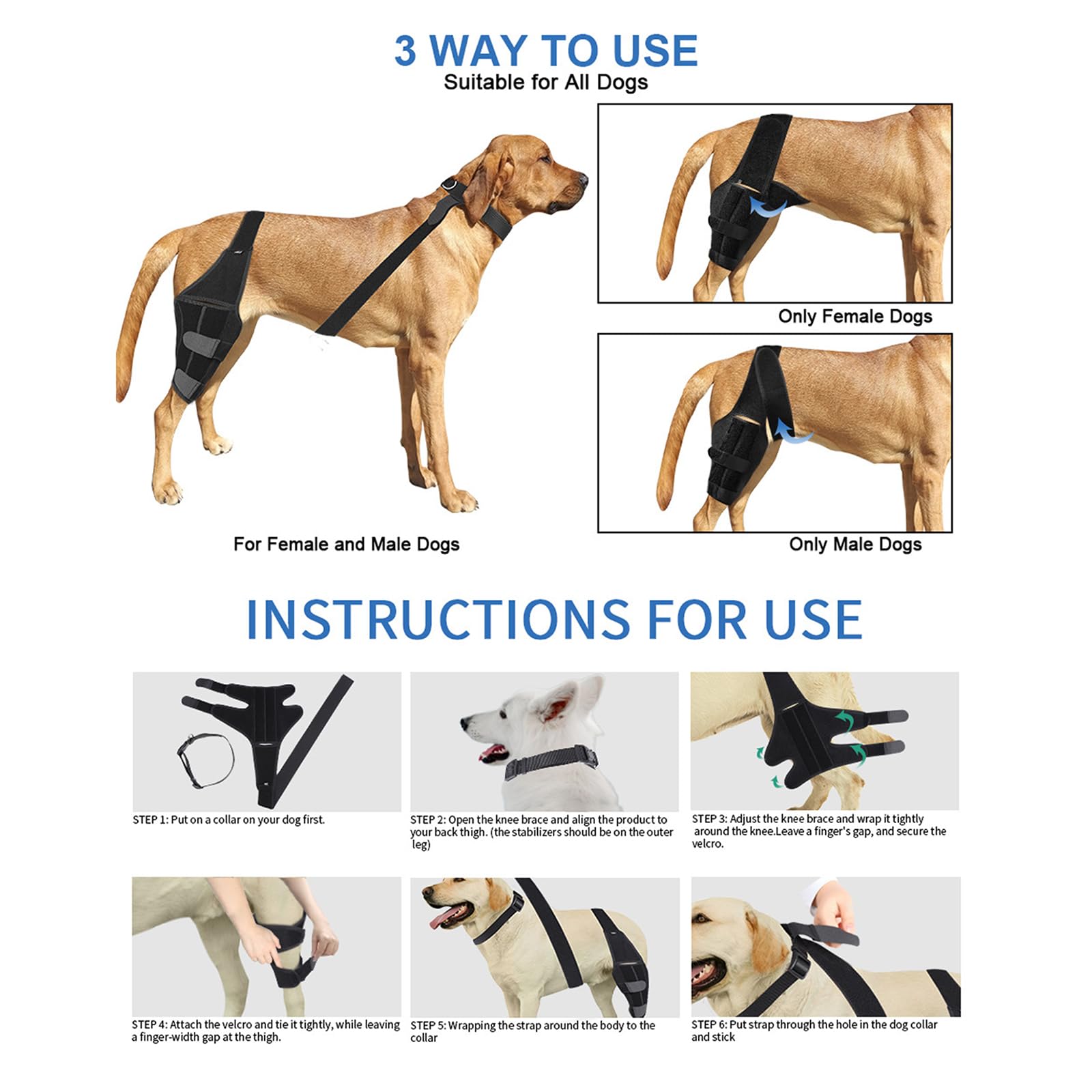 Tutore per cani per gamba posteriore e gamba del cane, supporto per la riabilitazione e il recupero post-operatorio (S)