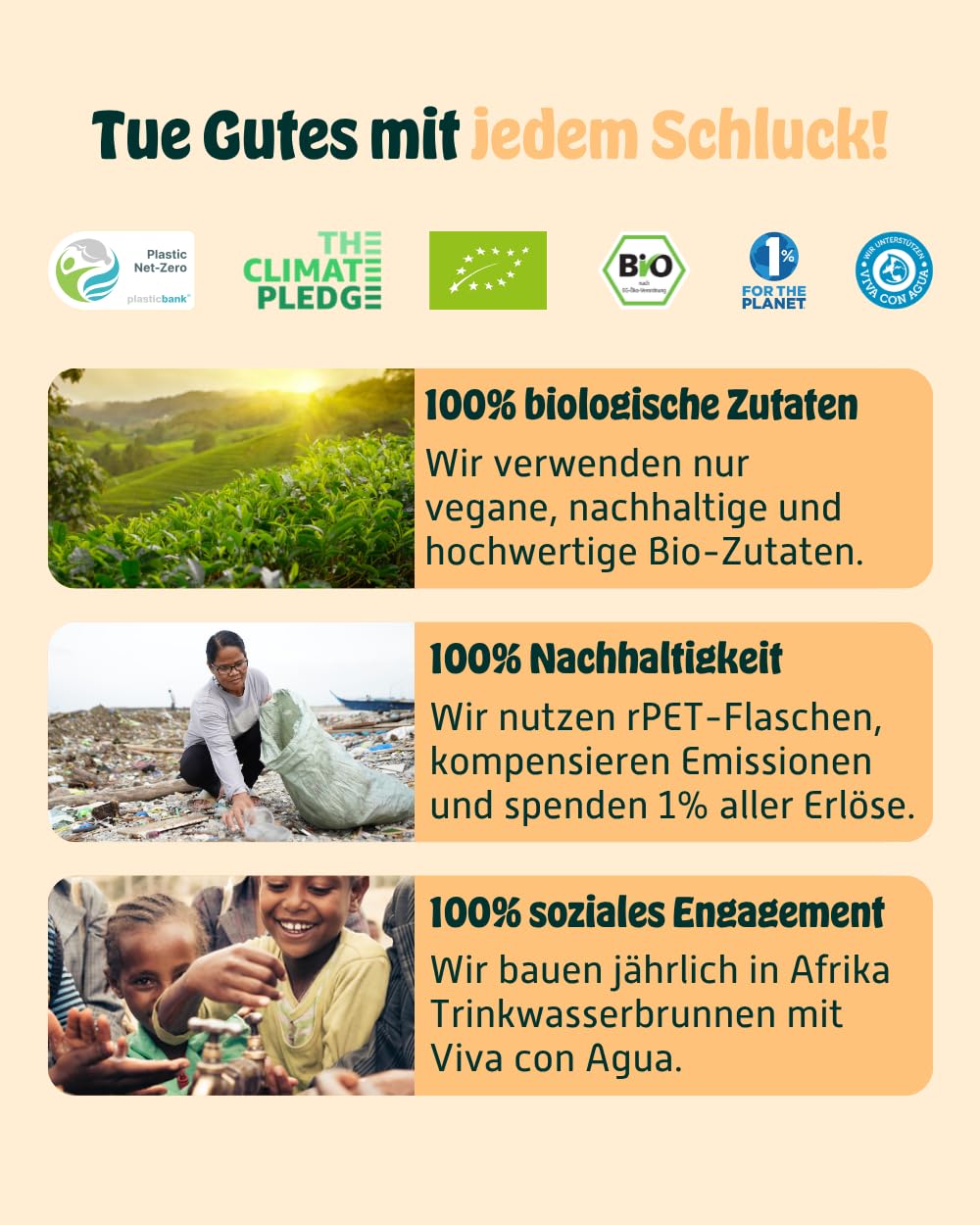 KOMBUCHERY® Orange Raw Kombucha BIO | 12 x 400ml | Fermentierter Tee mit aktiven Darm-Kulturen | Zuckerarm & Kalorienarm | Unpasteurisiert, PrioBiotic, Vegan, Testsieger | inkl. 3€ PFAND