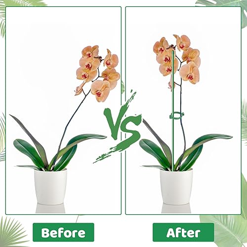 Miniatura 6 de Juego de 28 estacas para plantas, 15.7 y 11.8 pulgadas con 28 clips para plantas y 14 tubos de conexión para plantas de interior y exterior, flores,