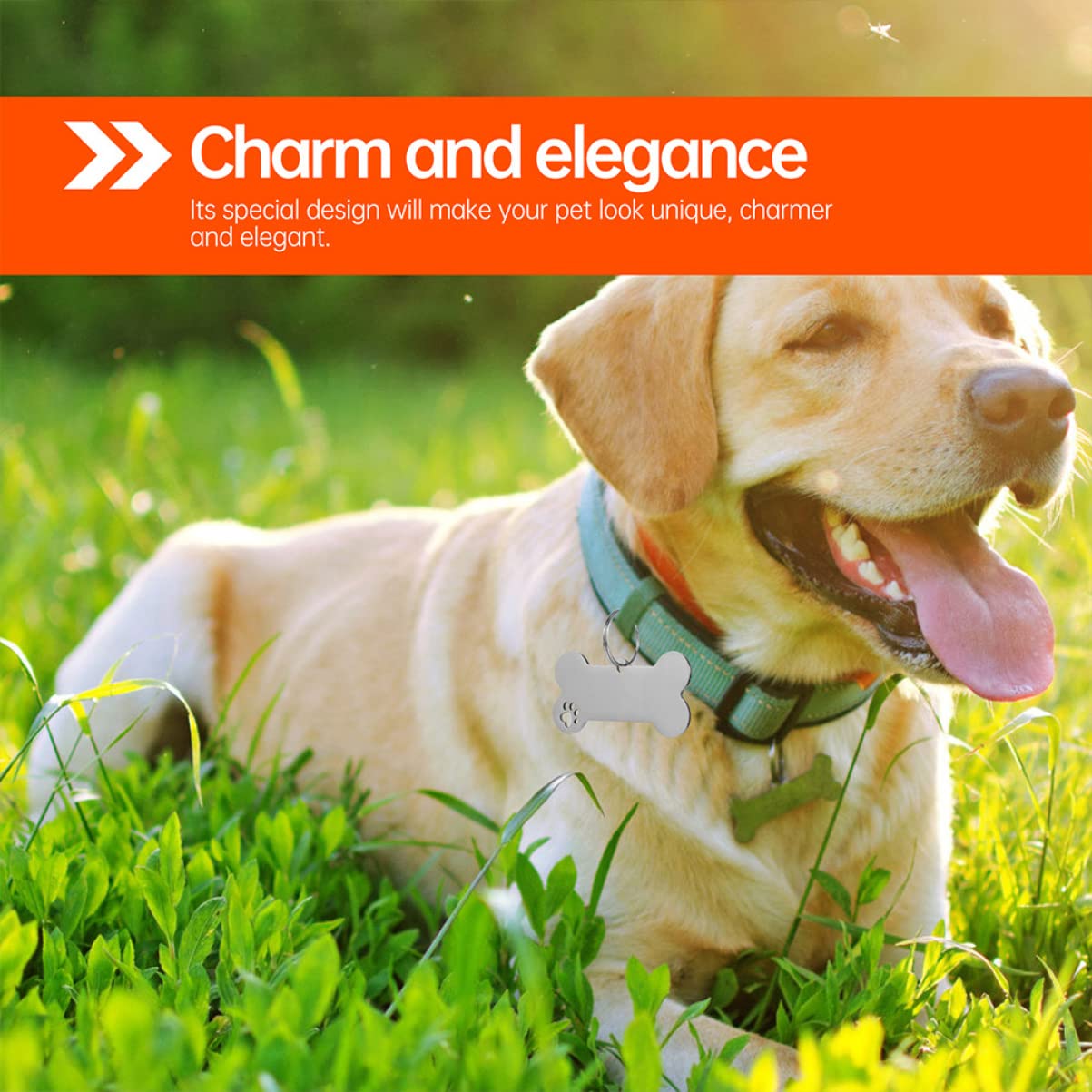 YARNOW 30pièces Plaques Identification pour Chiens Médailles Gravées pour Colliers De Chiens Et Accessoires Personnalisés pour Animaux De Compagnie