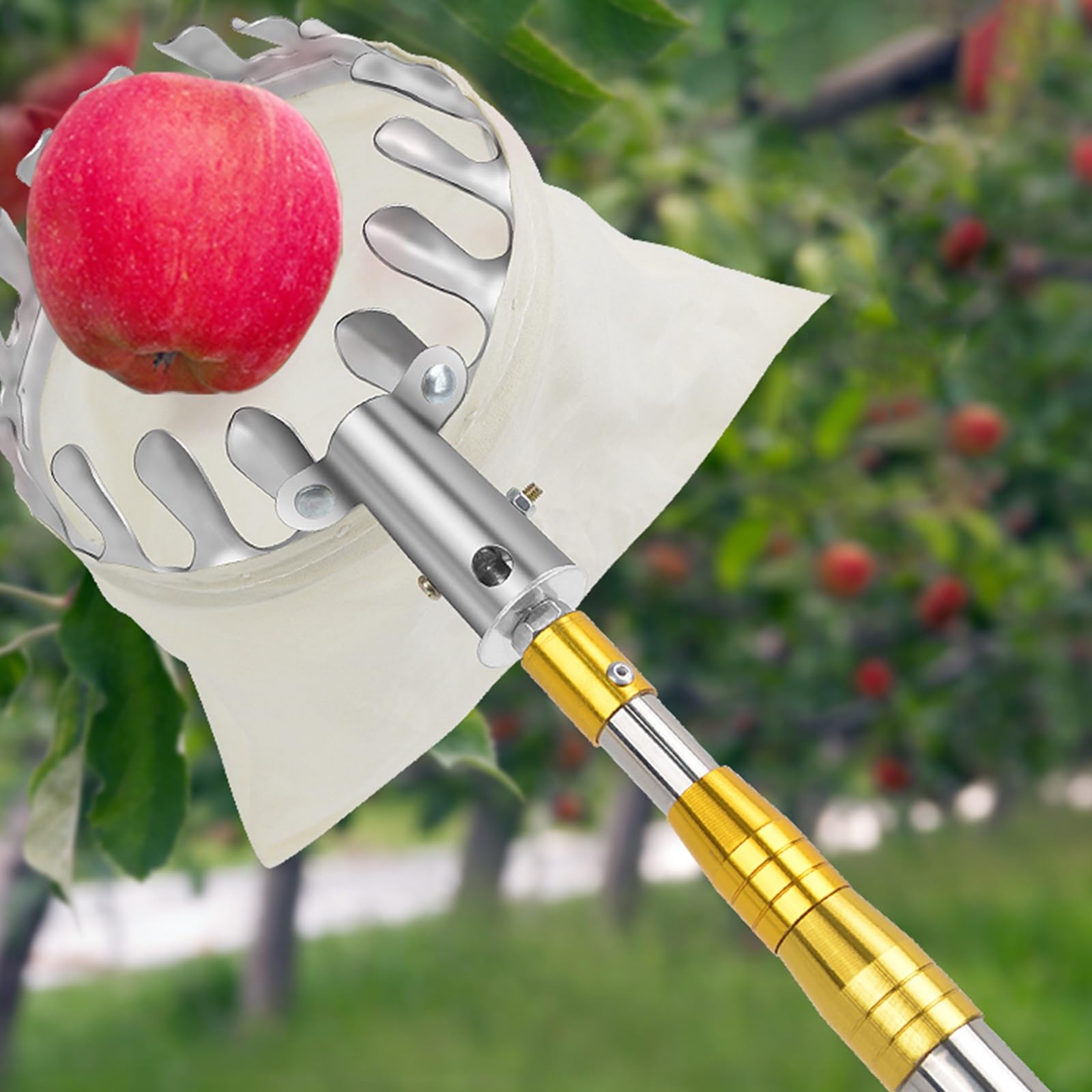 Cueille Fruit Telescopique 2m/4m/5m/6m/7m Amovible Cueille Fruits avec Sac, Ramasse Fruit avec Perche Telescopique pour La Récolte de Pêches, Pommes, Agrumes (Size : 6m(19.7ft))