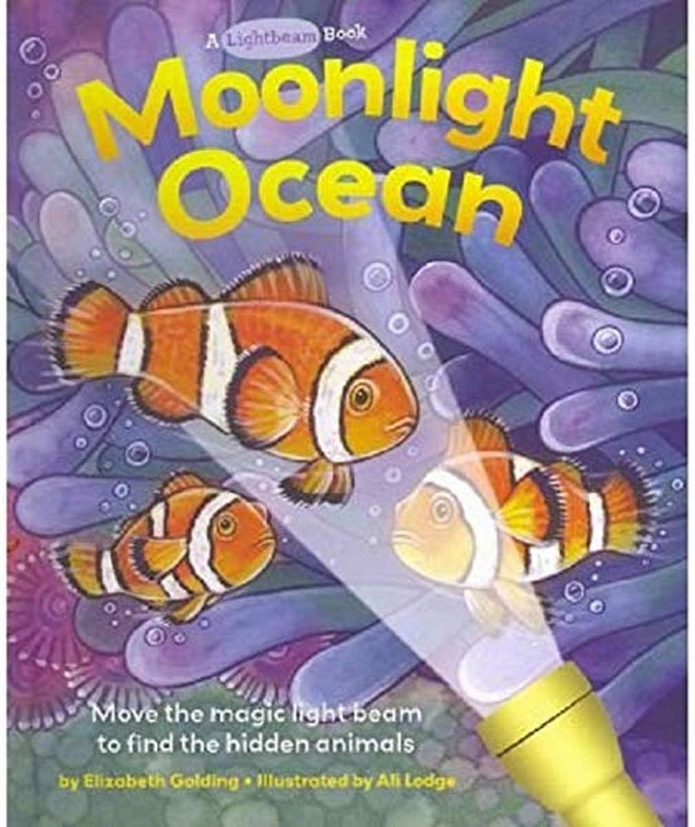 Moonlight Ocean (Lightbeam Books) Hardcover โ Illustrated, 3 April 2012
