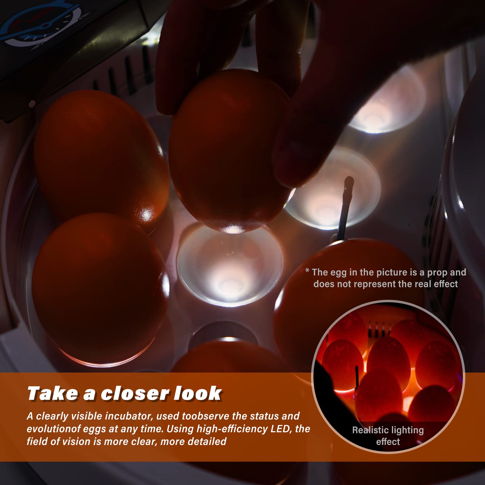 Mini 9 Huevos incubadora Chick con automático de Temperatura y Pantalla Digital LED incubadora Tortuga para Aves de Corral Reptil Regalo para niños