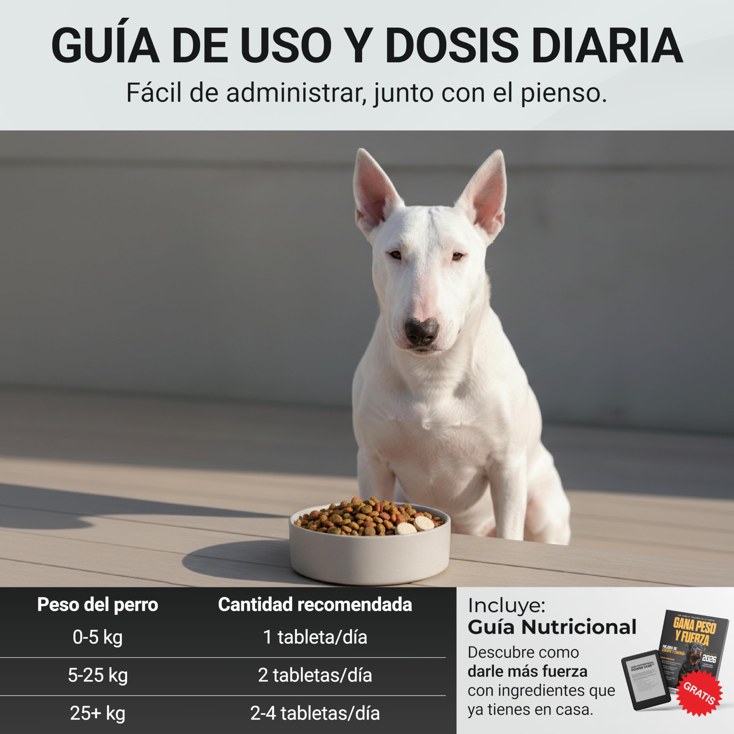 Power Tabs – Suplemento para Ganar Peso y Aumentar Masa Muscular en Perros | Tabletas Proteicas de Alto Rendimiento