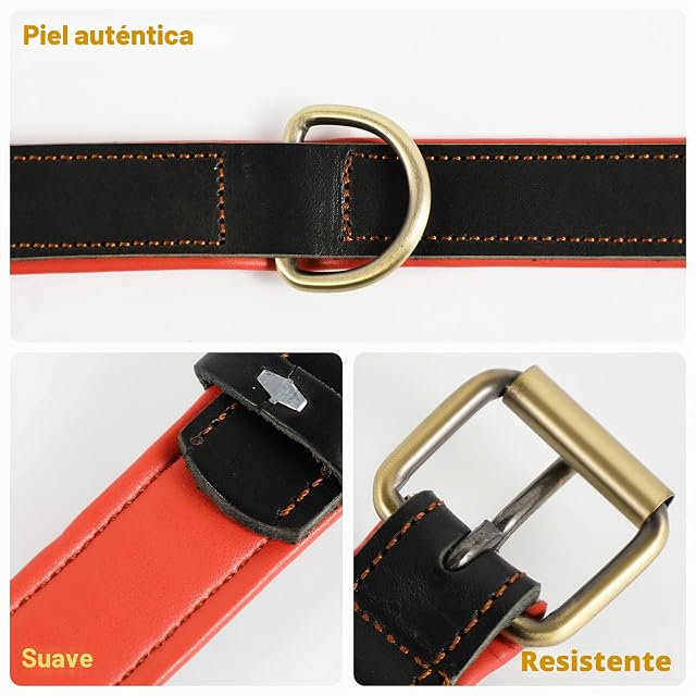 Foto 4 de 7 de Collar de Cuero Genuino para Perro, Varios tamaños y Colores, Resistente, cómodo