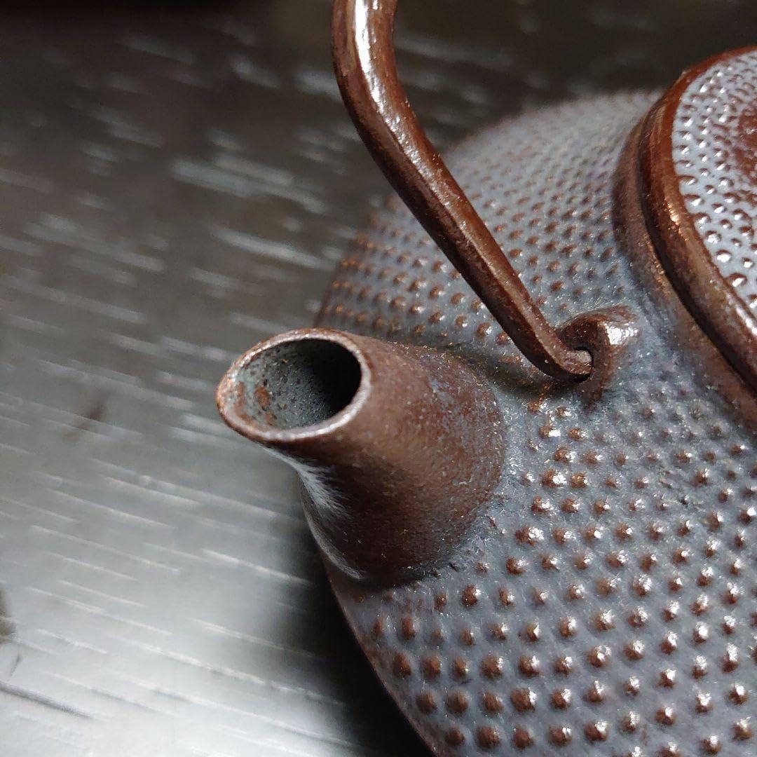 南部鉄器 盛栄堂 急須 南部鉄器 盛栄堂 八角 鉄瓶 急須 及源鋳造 OIGEN