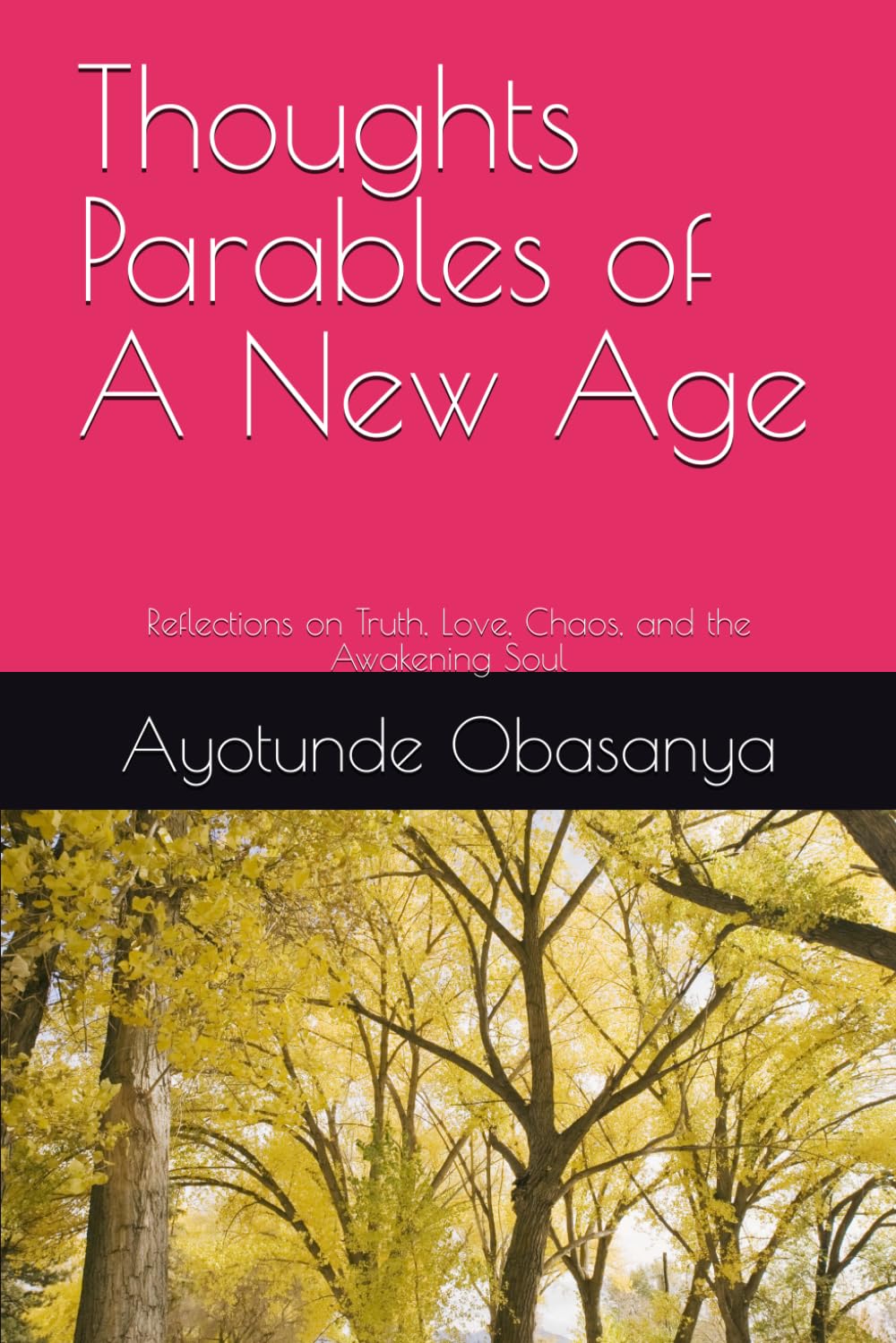 Thoughts Parables of A New Age: Reflections on Truth, Love, Chaos, and the Awakening Soul