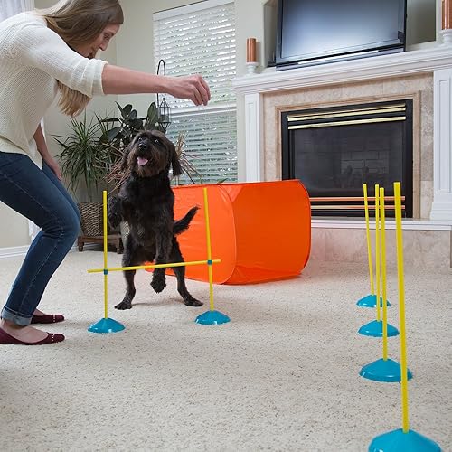 Miniatura 6 de Juego para principiantes de agilidad Zip Zoom para perros de interior con túnel postes para zigzaguear obstáculos de salto de altura por Outward