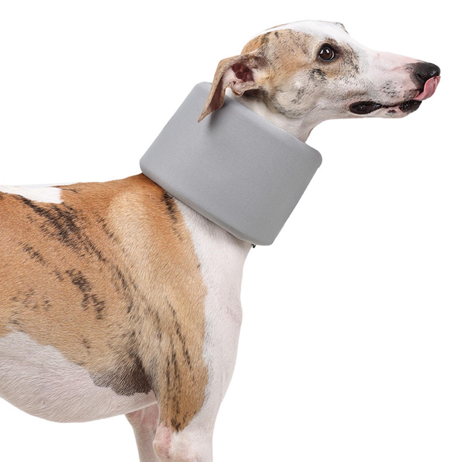 Elisabethanisches Halsband Für Katzen & Hunde – Atmungsaktiv, Verstellbar, Nach OP Oder Bei Hautproblemen