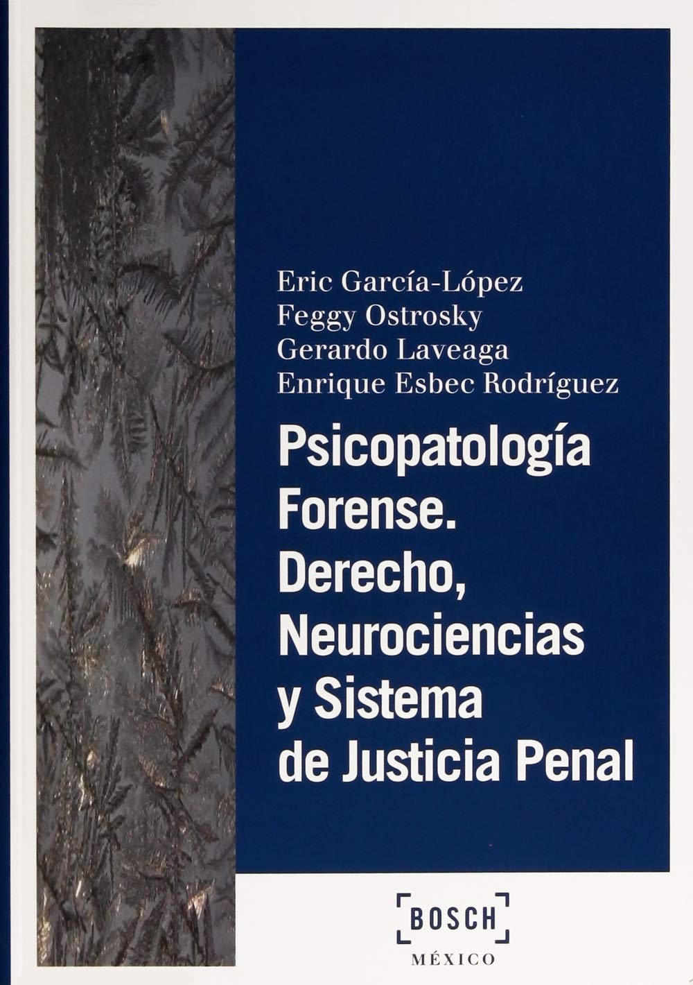 Psicopatología forense. Derecho, neurociencias y sistema de justicia penal (SIN COLECCION)