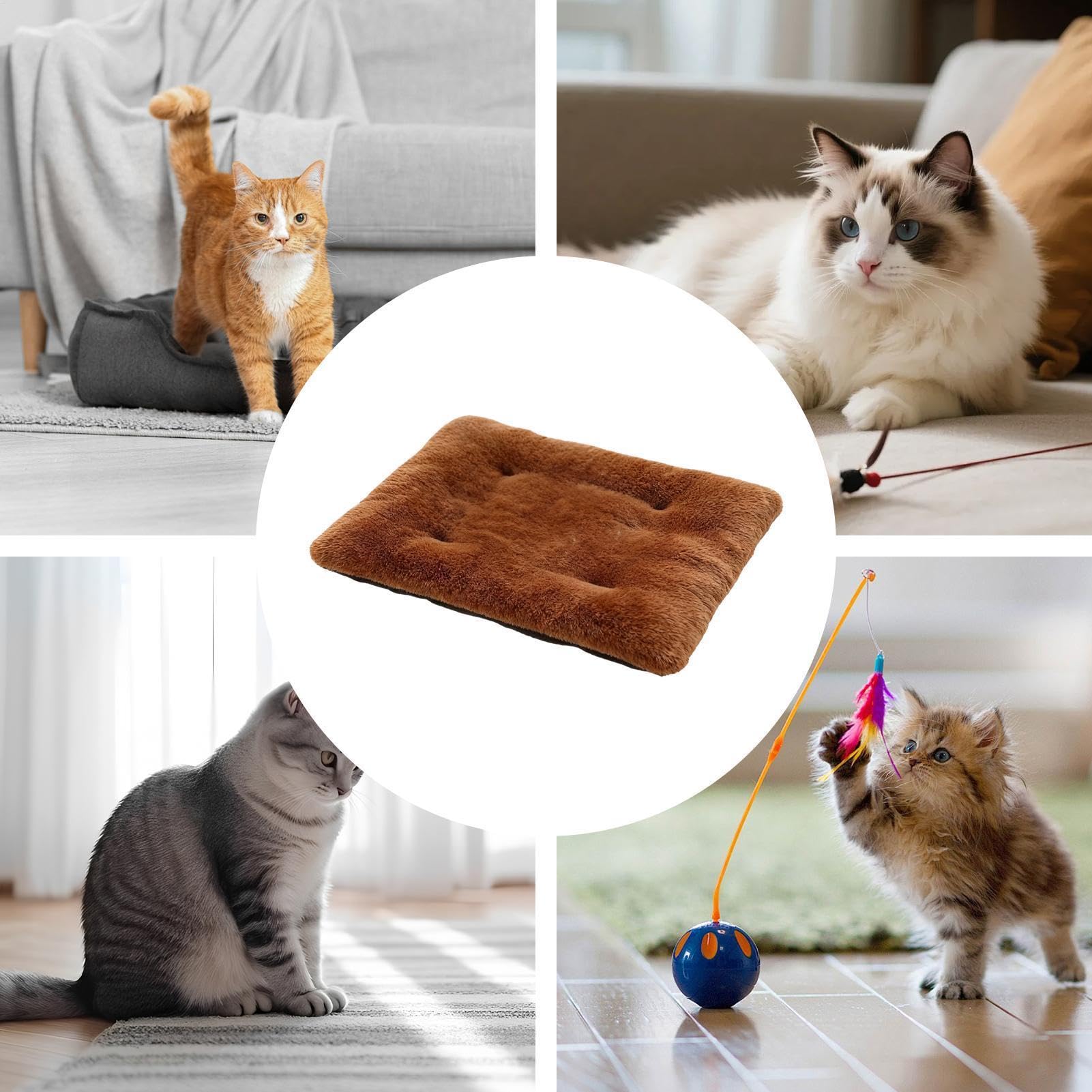 Coussin auto-chauffant non électrique pour chat