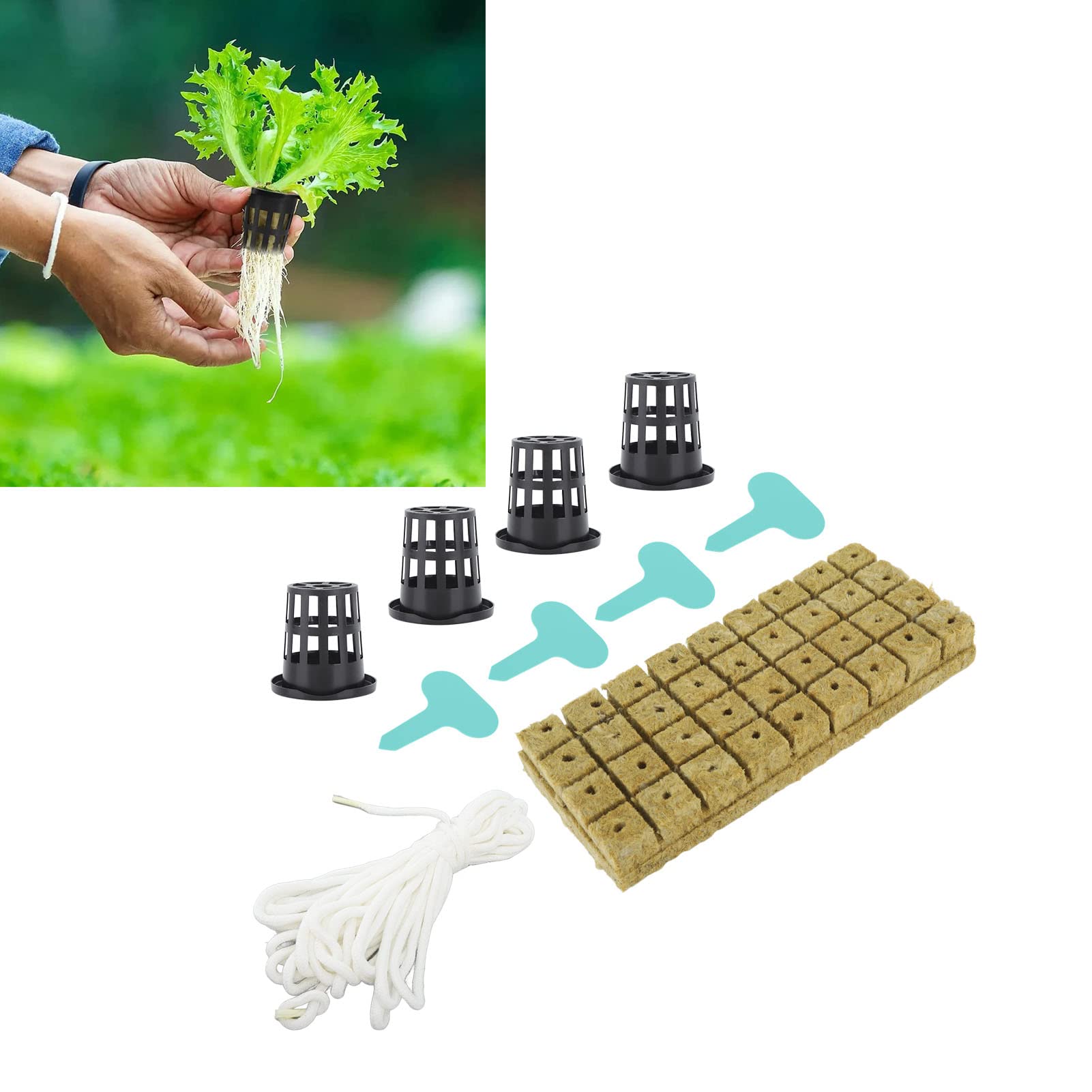 Haofy Juego de 72 Cubos de Lana de Roca de 1 Pulgada con Macetas de Red de 2 Pulgadas para Sistema de Cultivo Hidropónico Buena Absorción de Agua Kit de Taza de Red de Malla
