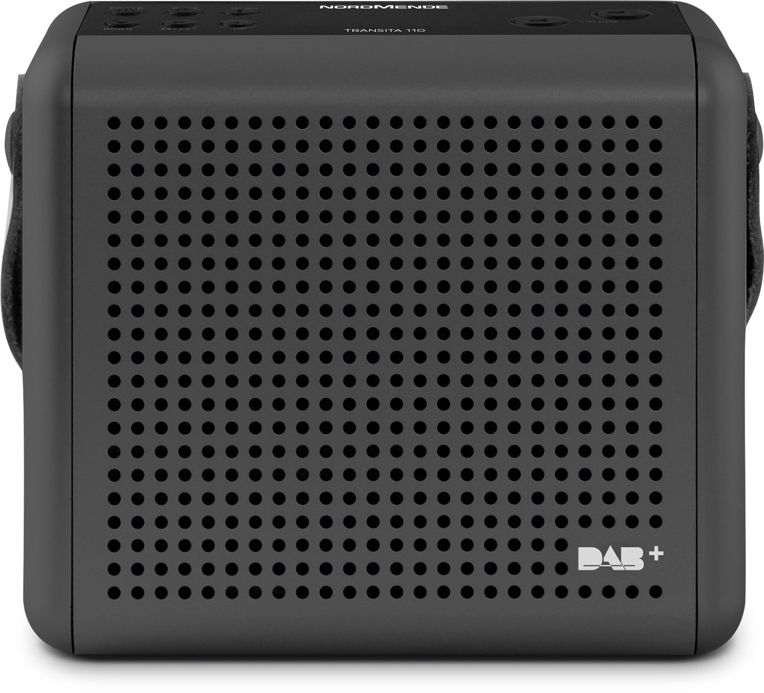 Nordmende Transita 110 - Radio digitale DAB+ e FM portatile (Scatola musicale portatile con display OLED, Radio da esterno con maniglia per il trasporto e orologio), antracite