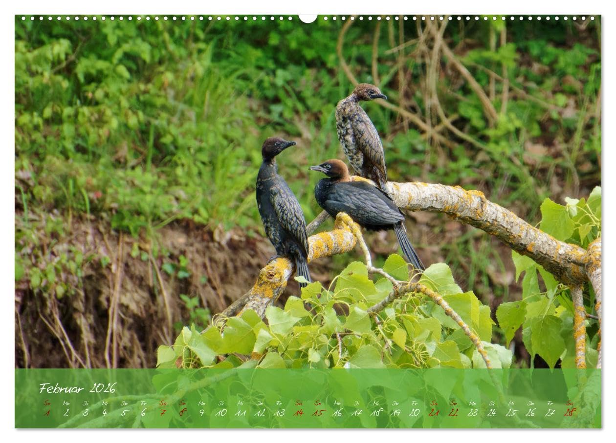 Wilde Toskana - von René Schaack (hochwertiger Premium Wandkalender 2026 DIN A2 quer), Kunstdruck in Hochglanz: Fotoreise ins Herz Italiens (CALVENDO Orte)