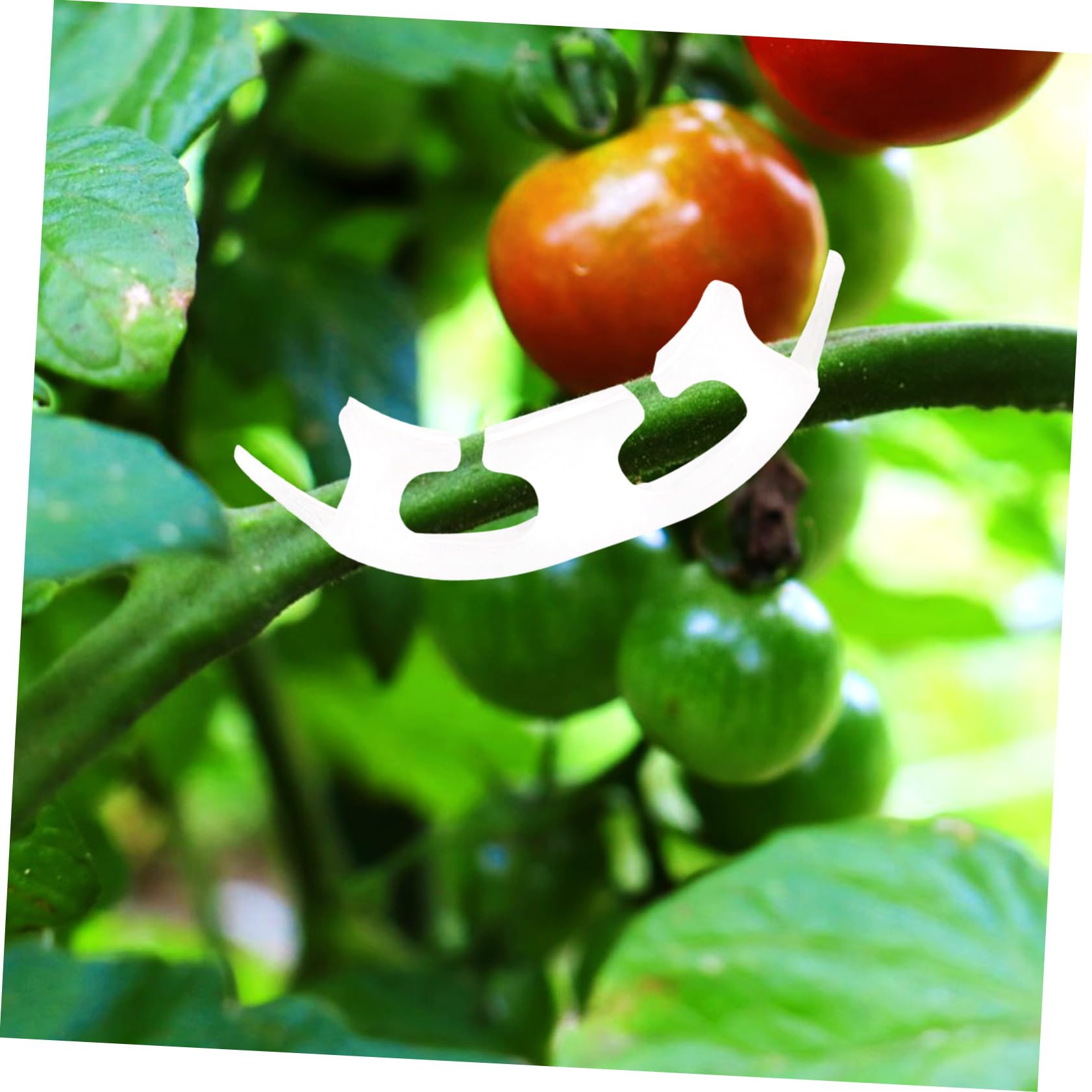 5 Set Clip di Pomodoro Supporti per Presa Clip di Verdure Riutilizzabile Posta in Gioco Fitosanitario Piante Piantare Clip Trainer Clip in Plastica da Giardino Bianca 100 Pezzi*5