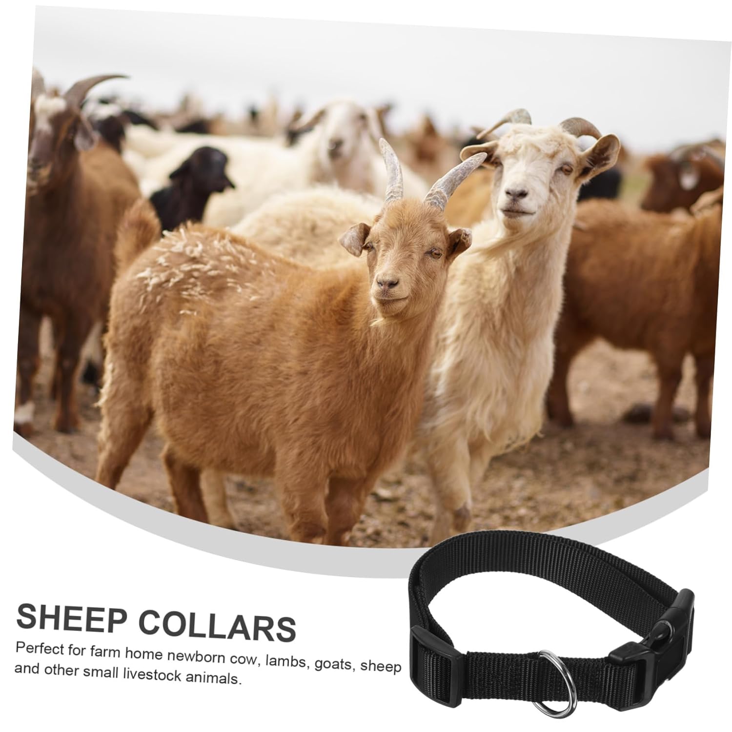 ibasenice 30pcs Adjustable Sheep Collars for Livestock Durable Anti-Lost Collars for Goats and Cows Comfortable Fit Safety Buckle