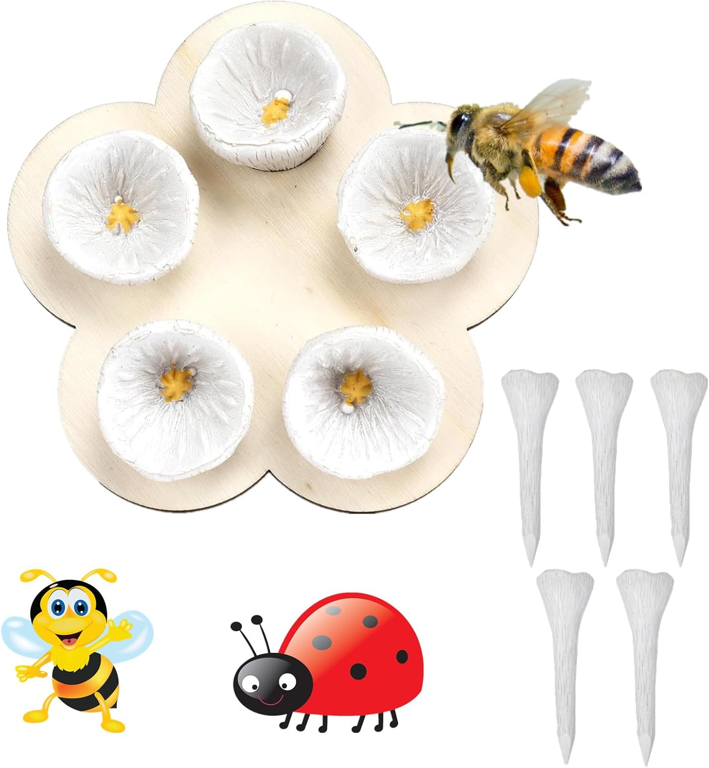 Drinking Cup for Bees, Bee Cups for Garden Colorful Bee Insect Drinking ...