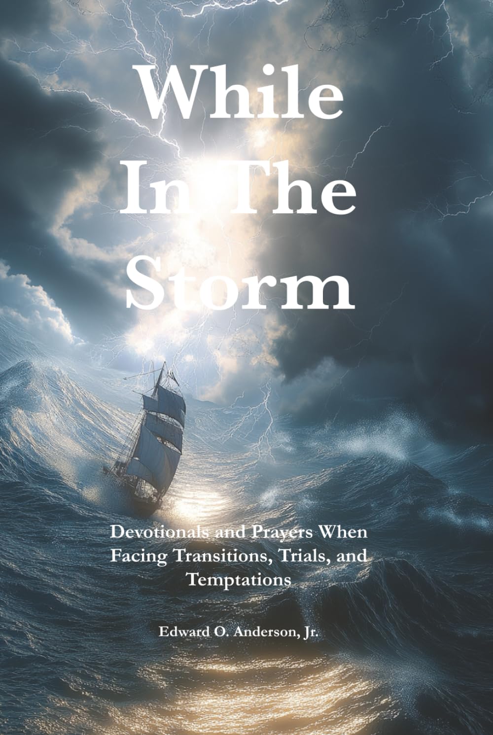 While in the Storm: Devotionals and Prayers When Facing Transitions, Trials, and Temptations (The Private Devotional Series)