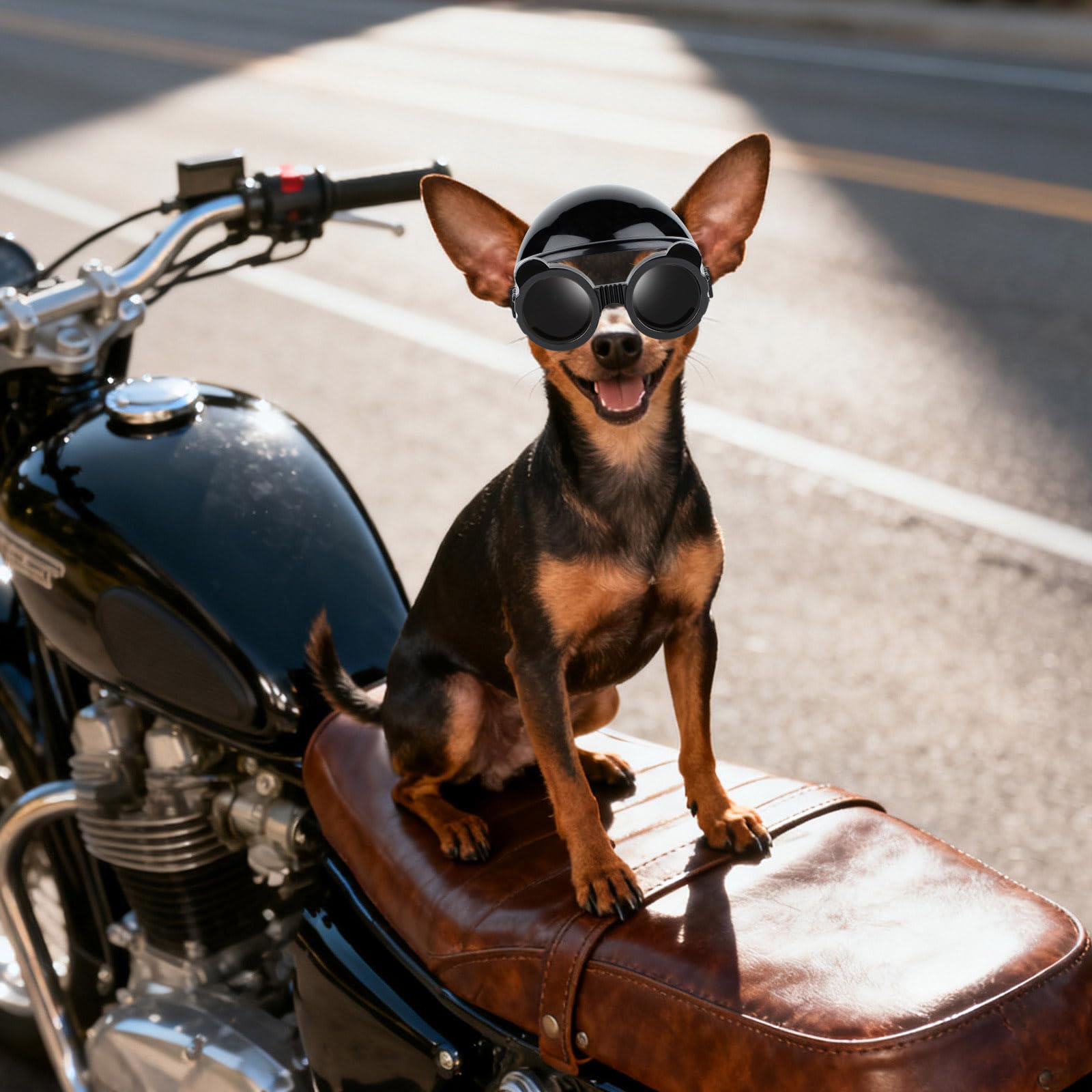 Occhiali da sole per cani di taglia extra piccola e casco per cani di taglia XS, 2 pezzi, occhiali da sole anti-UV, set di casco protettivo per gatti, chihuahua, protezione per testa e occhi
