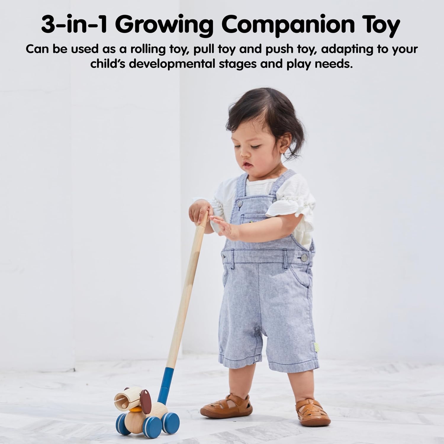 PlanToys® Wooden Push & Pull Puppy Toy | Montessori Inspired Walking Toy for Balance, Coordination & Active Play | Eco Friendly Toddler Movement Activity