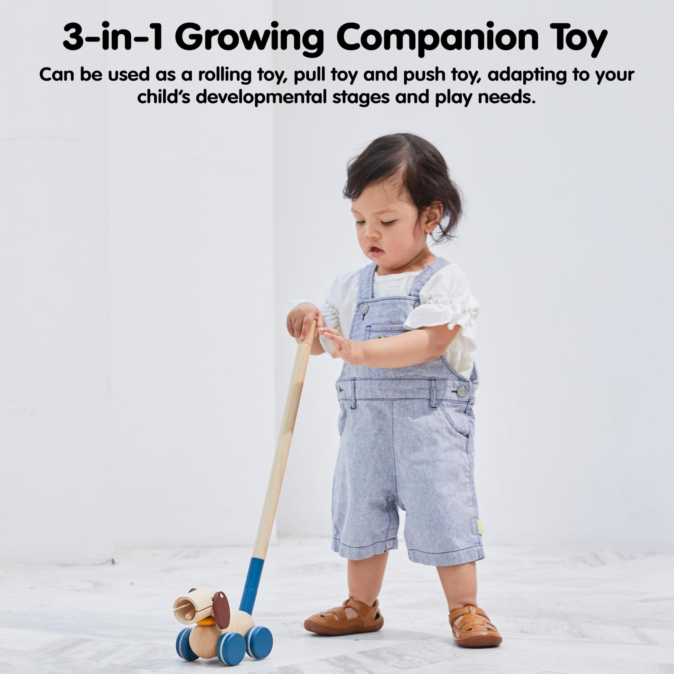 PlanToys Jouet à Tirer et Pousser Chien - Jouet à Pousser et à Tirer 3-en-1 en Bois - Jouet à Tirer Chien 1+ An