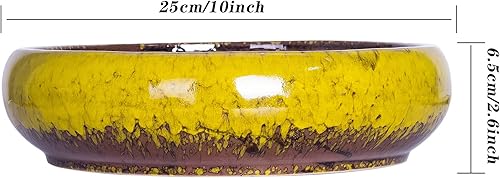 Miniatura 11 de Macetas para suculentas – Macetas grandes para suculentas con drenaje, maceta de cerámica para bonsái de 10 pulgadas con soporte, maceta redonda Azul